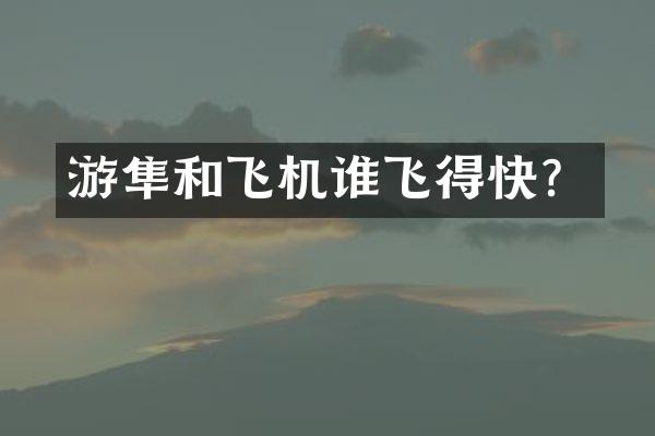 游隼和飞机谁飞得快？