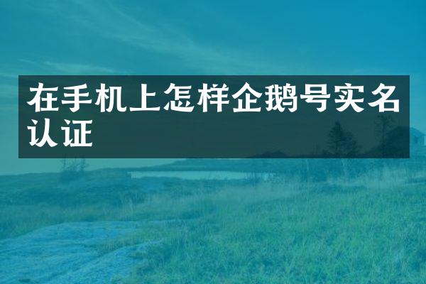 在手机上怎样企鹅号实名认证