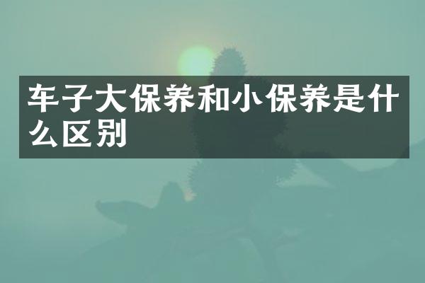 车子大保养和小保养是什么区别