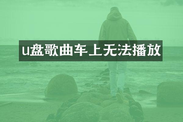 u盘歌曲车上无法播放