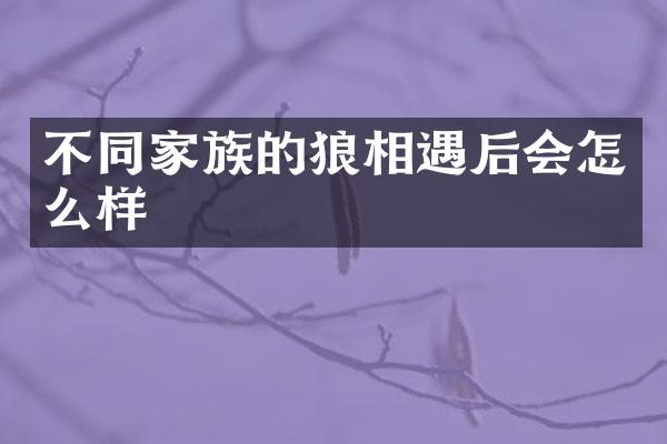 不同家族的狼相遇后会怎么样