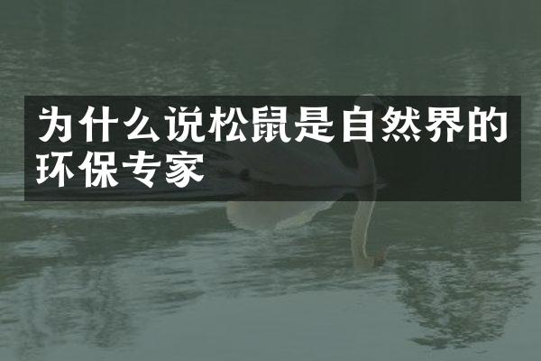 为什么说松鼠是自然界的环保专家