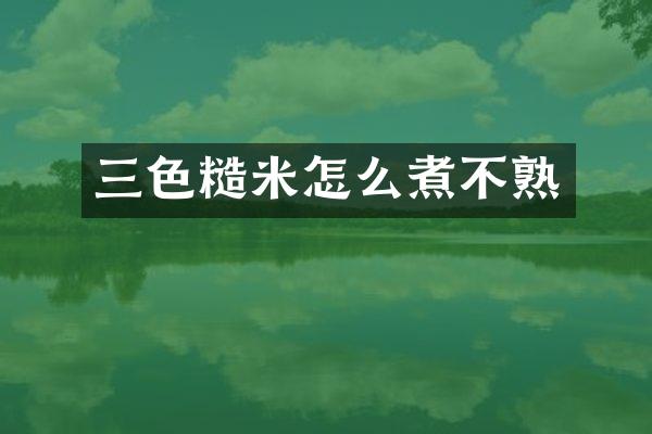 三色糙米怎么煮不熟