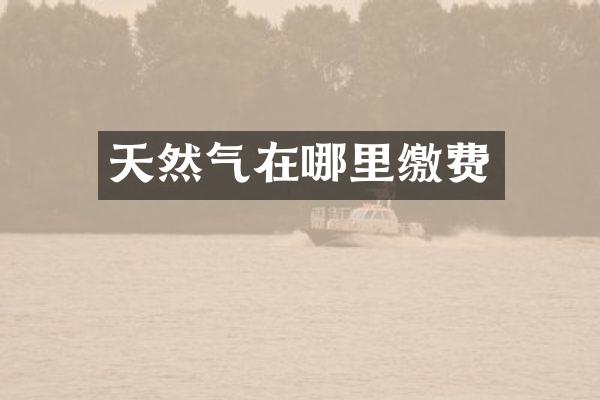 天然气在哪里缴费