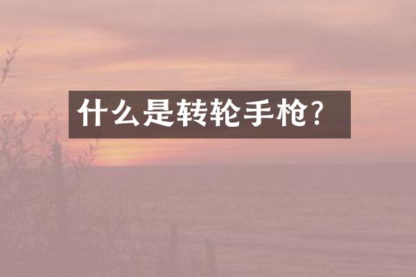 什么是转轮手枪？