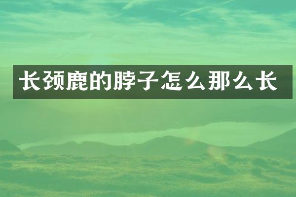 长颈鹿的脖子怎么那么长