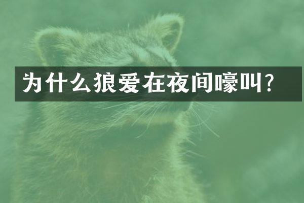 为什么狼爱在夜间嚎叫？