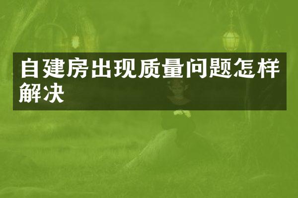 自建房出现质量问题怎样解决