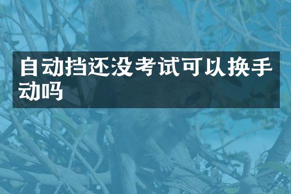 自动挡还没考试可以换手动吗