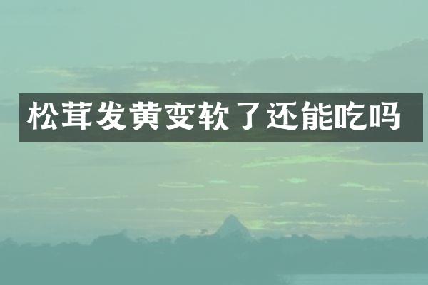 松茸发黄变软了还能吃吗
