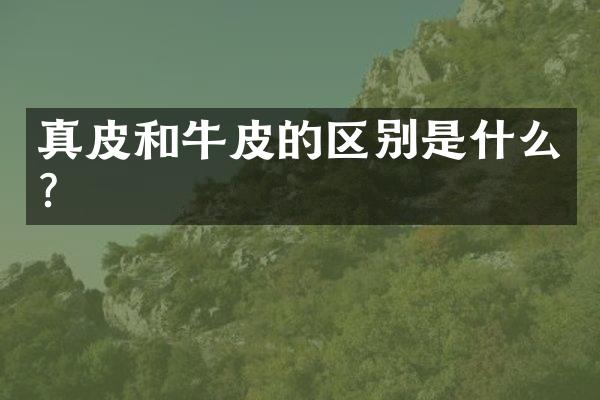 真皮和牛皮的区别是什么？