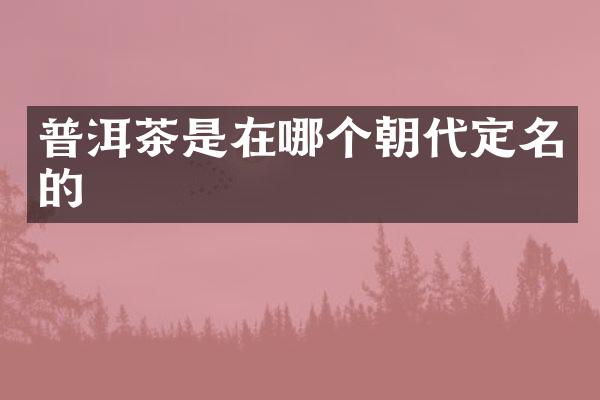普洱茶是在哪个朝代定名的
