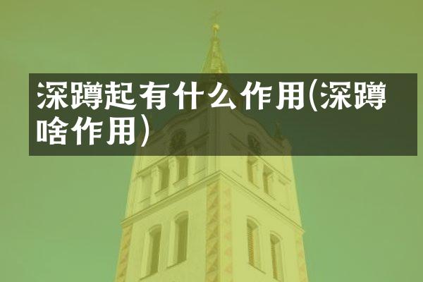 深蹲起有什么作用(深蹲有啥作用)