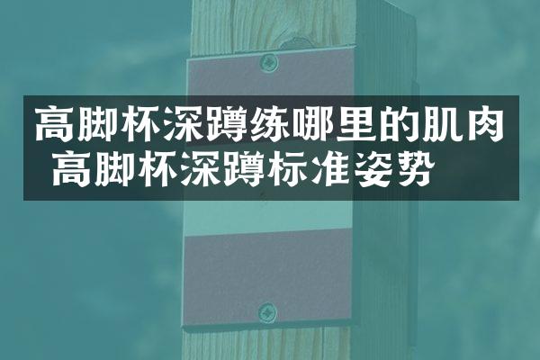 高脚杯深蹲练哪里的肌肉 高脚杯深蹲标准姿势
