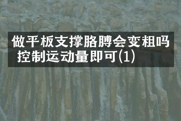 做平板支撑胳膊会变粗吗 控制运动量即可(1)
