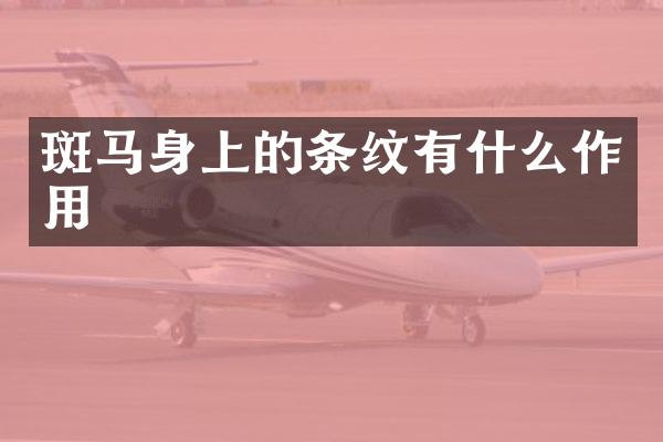 斑马身上的条纹有什么作用