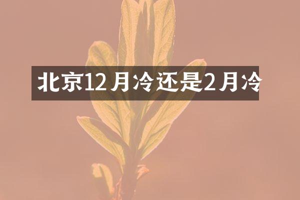 北京12月冷还是2月冷