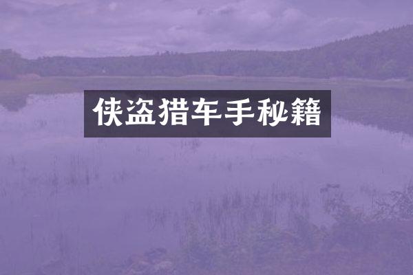 侠盗猎车手秘籍