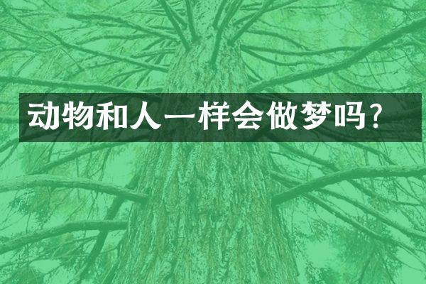 动物和人一样会做梦吗？