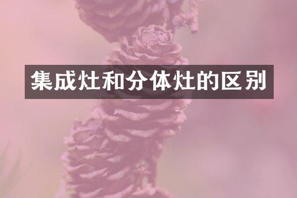 集成灶和分体灶的区别