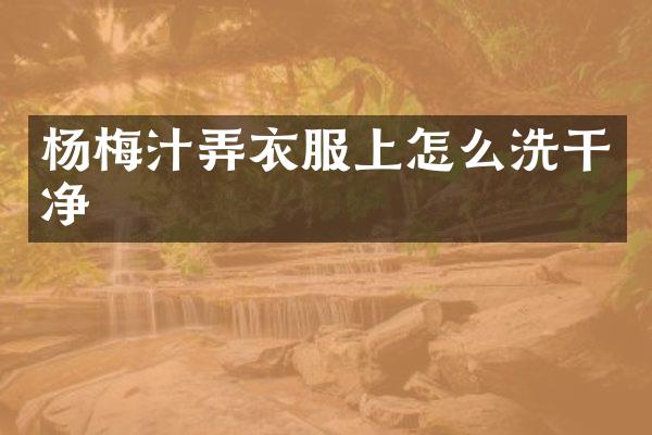 杨梅汁弄衣服上怎么洗干净