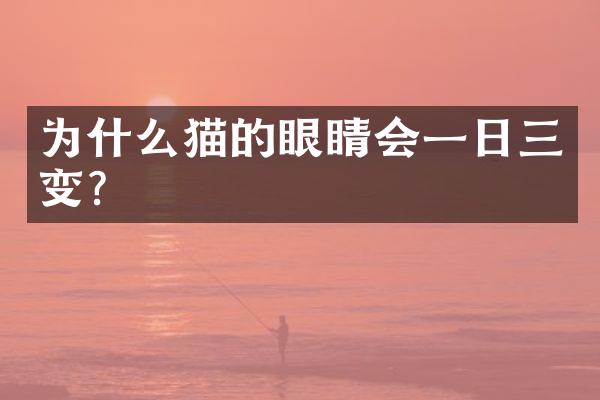 为什么猫的眼睛会一日三变?
