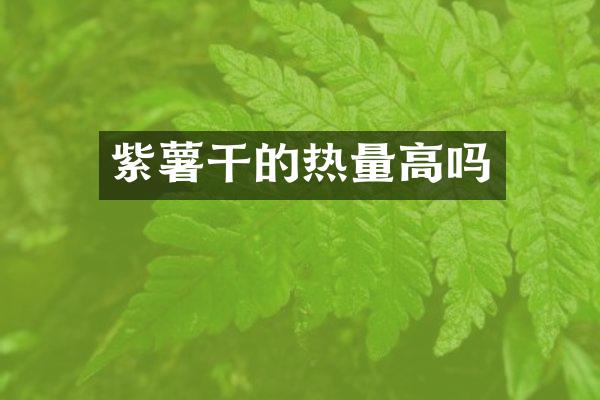 紫薯干的热量高吗