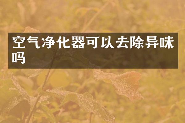 空气净化器可以去除异味吗