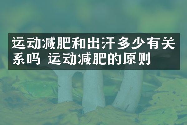 运动减肥和出汗多少有关系吗 运动减肥的原则