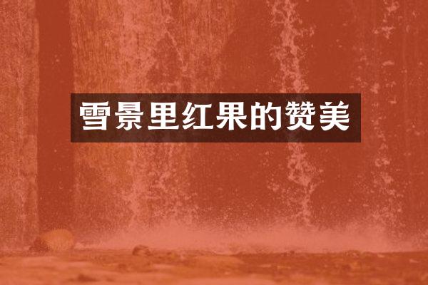 雪景里红果的赞美
