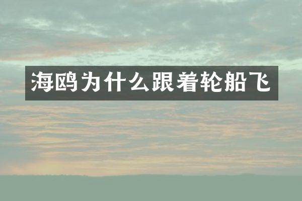 海鸥为什么跟着轮船飞