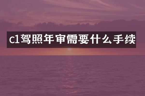 c1驾照年审需要什么手续