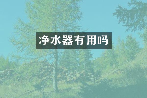 净水器有用吗