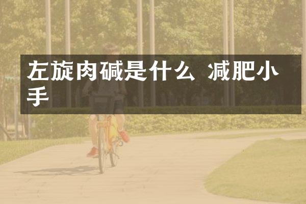 左旋肉碱是什么 减肥小帮手