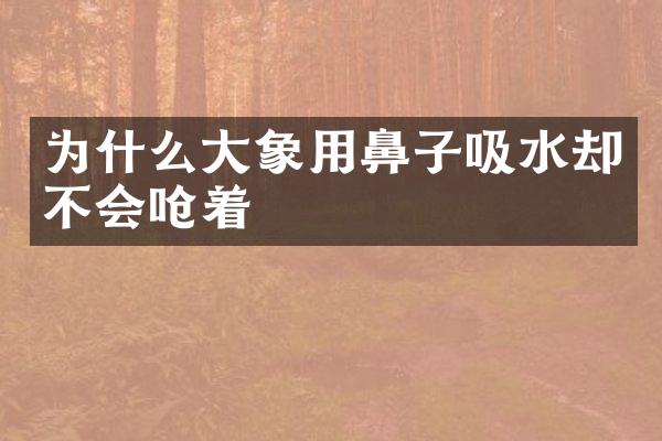 为什么大象用鼻子吸水却不会呛着