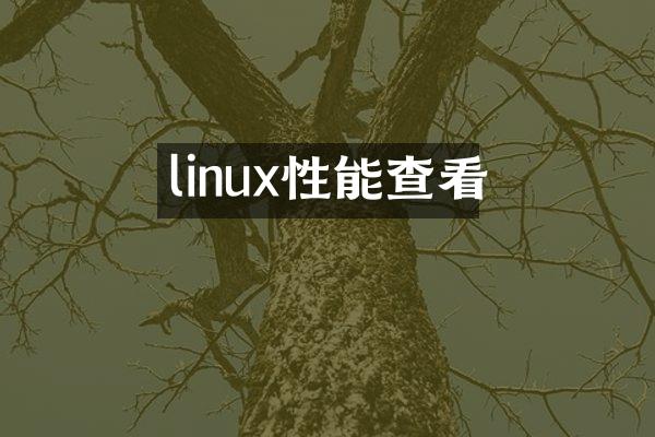 linux性能查看