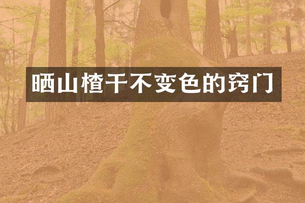 晒山楂干不变色的窍门