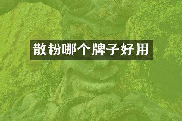 散粉哪个牌子好用