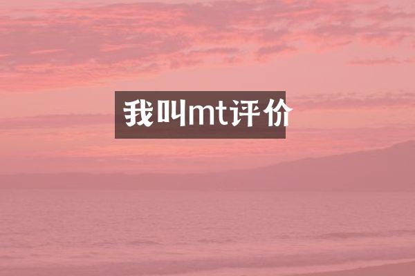 我叫mt评价