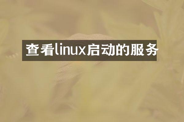 查看linux启动的服务