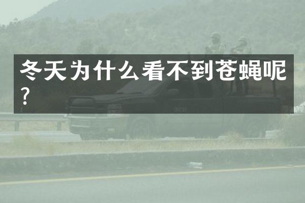 冬天为什么看不到苍蝇呢？