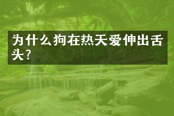 为什么狗在热天爱伸出舌头?
