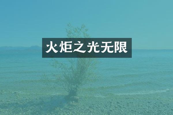 火炬之光无限