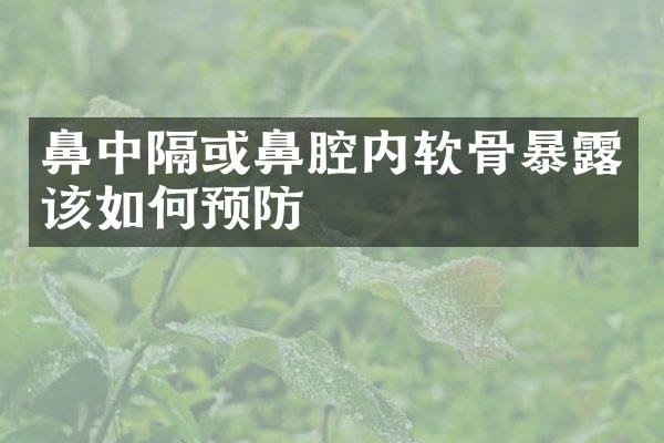 鼻中隔或鼻腔内软骨暴露该如何预防