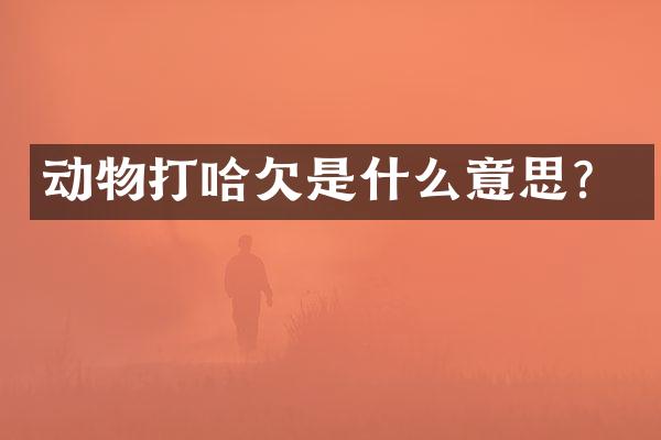 动物打哈欠是什么意思？