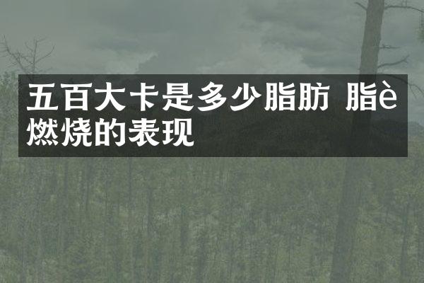 五百大卡是多少脂肪 脂肪燃烧的表现