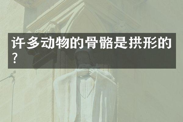 许多动物的骨骼是拱形的？