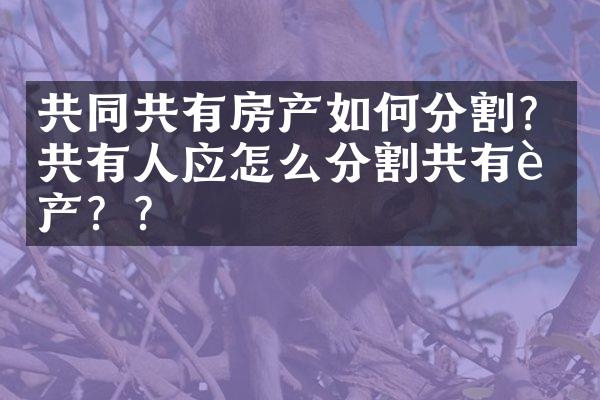 共同共有房产如何分割？共有人应怎么分割共有财产？？