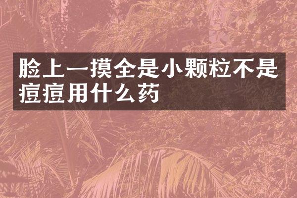 脸上一摸全是小颗粒不是痘痘用什么药