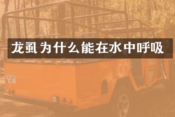 龙虱为什么能在水中呼吸
